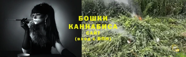 гидра Новокубанск