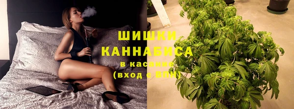 скорость Новодвинск
