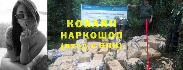 эйфоретик Новозыбков