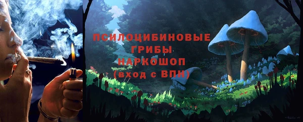 скорость Новодвинск