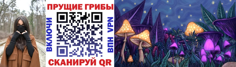 Галлюциногенные грибы мицелий Богородск