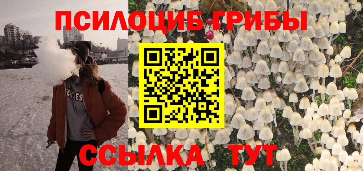 Псилоцибиновые грибы Psilocybe  Вход с VPN  Богородск 